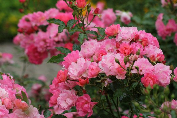 Découvrez comment la certification de votre isolation peut métamorphoser votre maison !