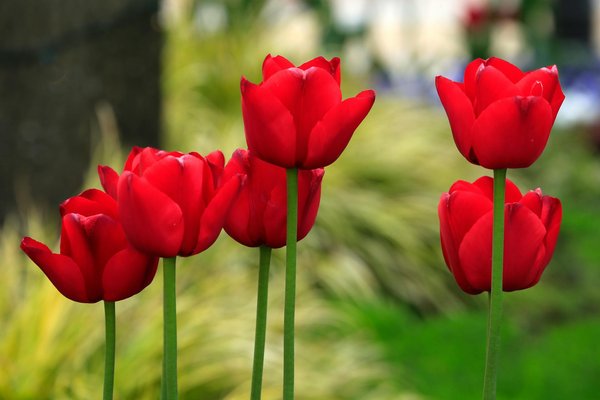 Boostez la vente de votre appartement grâce à une décoration irrésistible